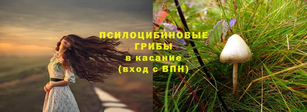 прущие крисы Новодвинск